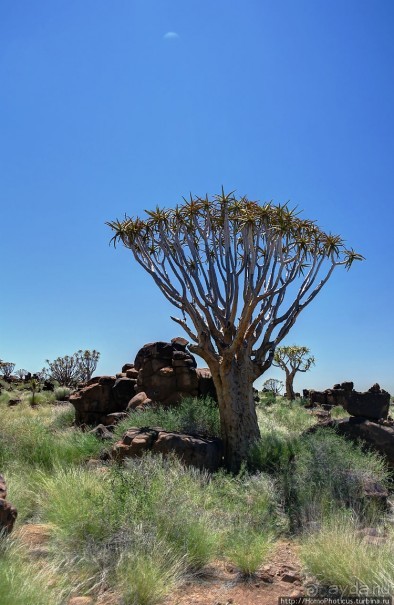 Намибийские пейзажи. Ч.1 На юг, к Фиш-ривер