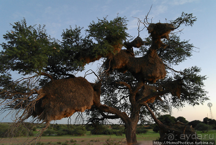 Намибийские пейзажи. Ч.1 На юг, к Фиш-ривер