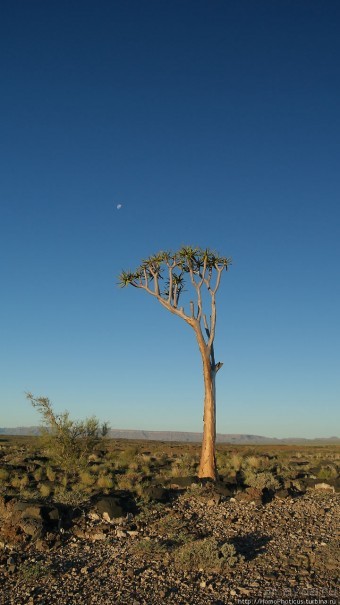 Намибийские пейзажи. Ч.1 На юг, к Фиш-ривер
