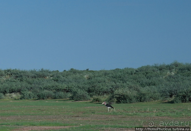 Намибийские пейзажи. Ч.1 На юг, к Фиш-ривер