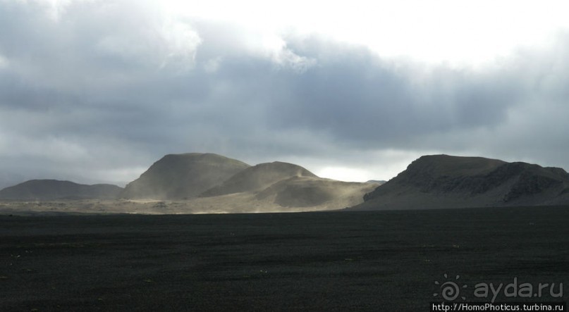Серо-зеленая безмятежность