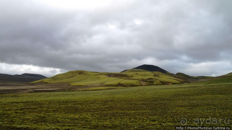 Серо-зеленая безмятежность