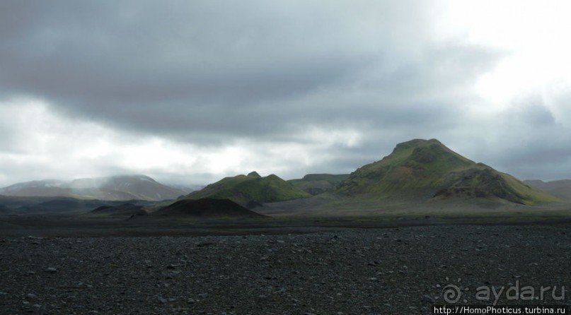 Серо-зеленая безмятежность