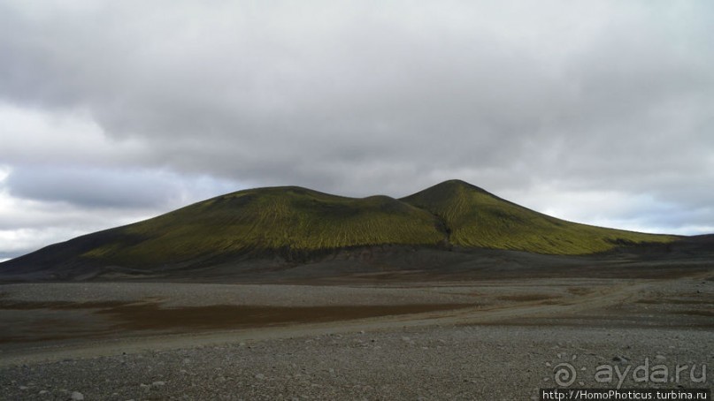 Серо-зеленая безмятежность