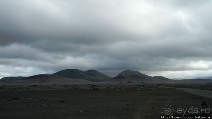 Серо-зеленая безмятежность