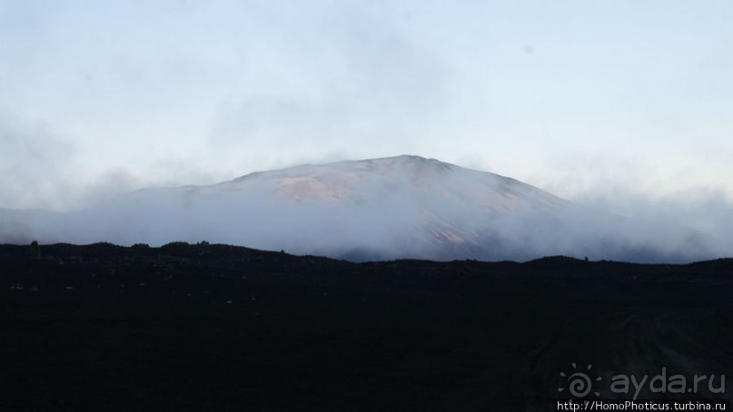 Серо-зеленая безмятежность