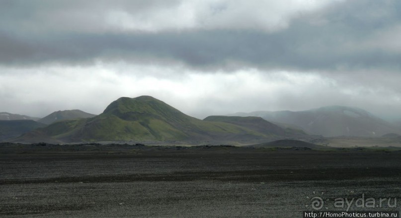 Серо-зеленая безмятежность