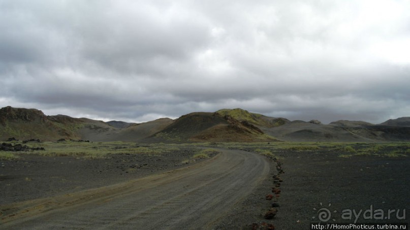 Серо-зеленая безмятежность
