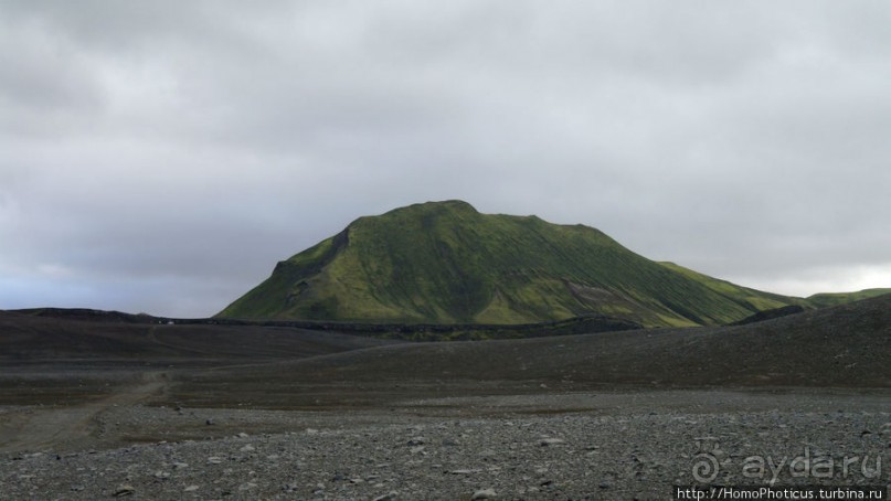 Серо-зеленая безмятежность