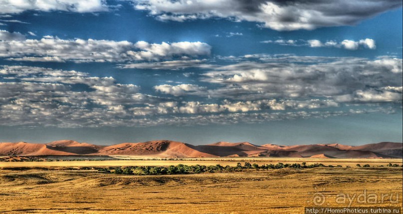 Восход в дюнах