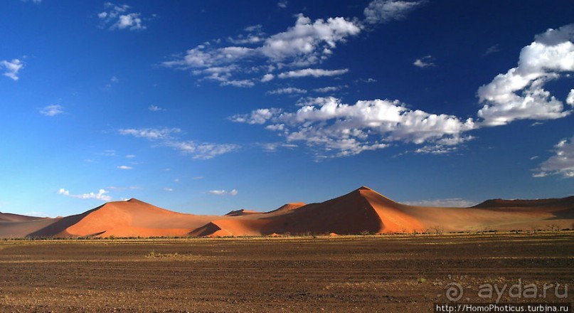 Восход в дюнах
