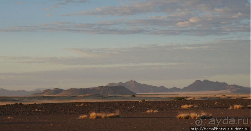 Восход в дюнах