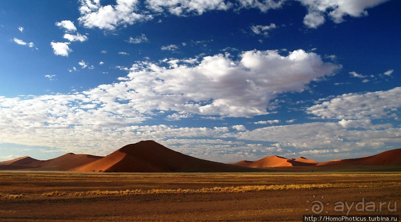 Восход в дюнах