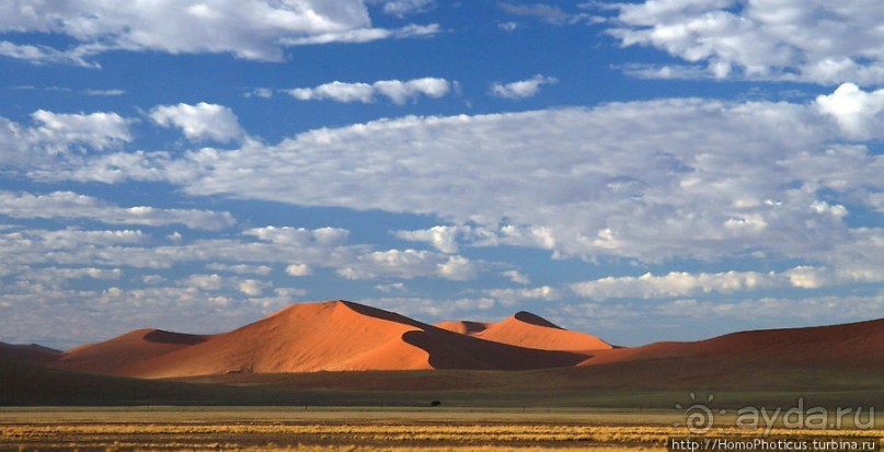 Восход в дюнах