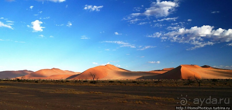 Восход в дюнах