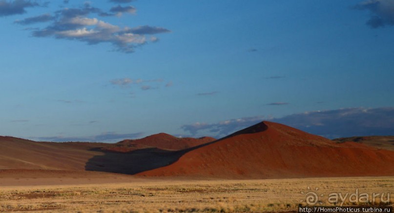 Восход в дюнах