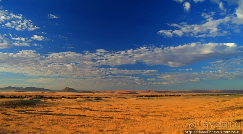 Восход в дюнах