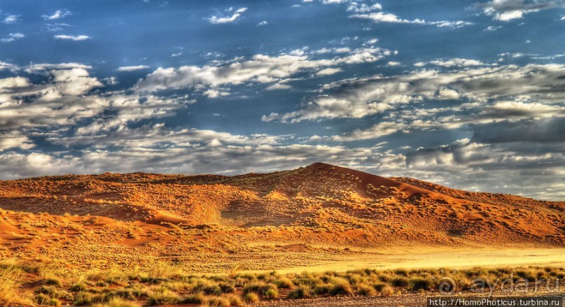 Восход в дюнах