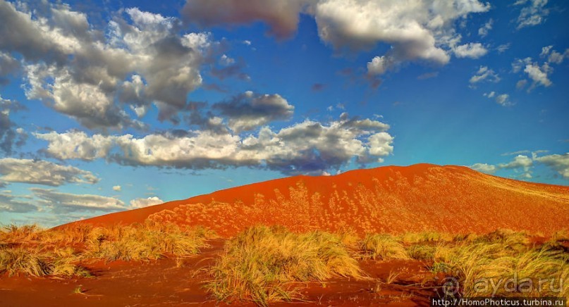 Восход в дюнах