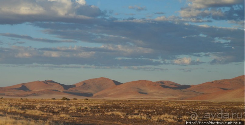 Восход в дюнах