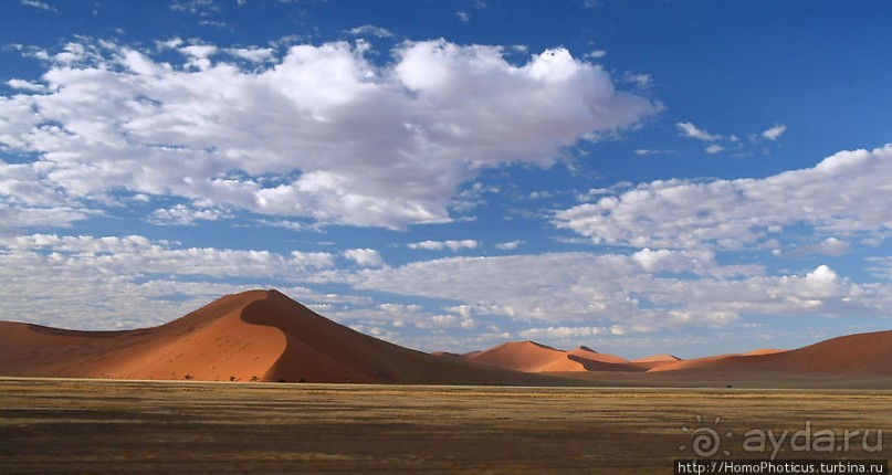 Восход в дюнах