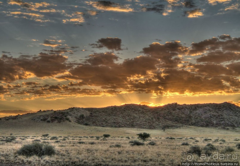 Восход в дюнах