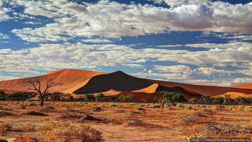 Восход в дюнах
