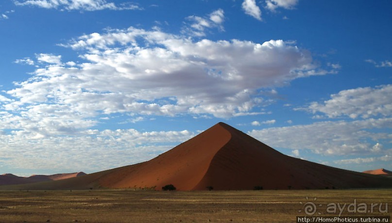 Восход в дюнах