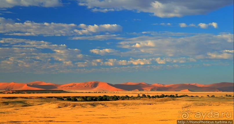 Восход в дюнах