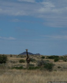 Намибийские пейзажи. Ч.4 Берег Скелетов