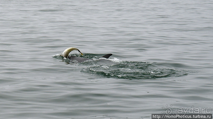 Намибийские пейзажи. Ч.4 Берег Скелетов