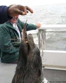 Намибийские пейзажи. Ч.4 Берег Скелетов
