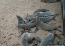 Намибийские пейзажи. Ч.4 Берег Скелетов