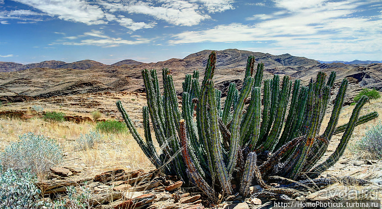 Намибийские пейзажи. Ч.4 Берег Скелетов