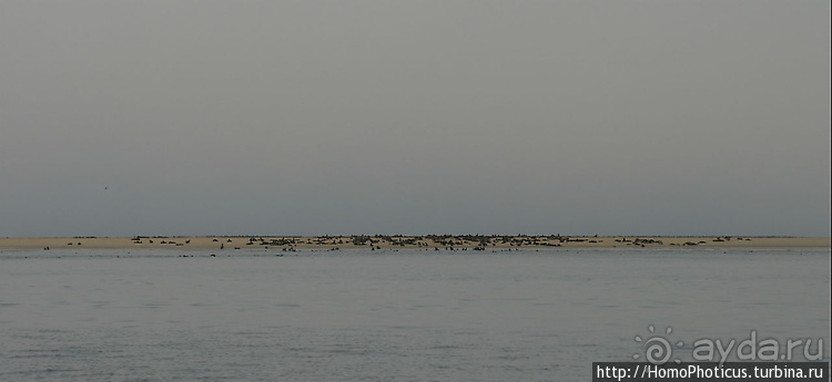 Намибийские пейзажи. Ч.4 Берег Скелетов