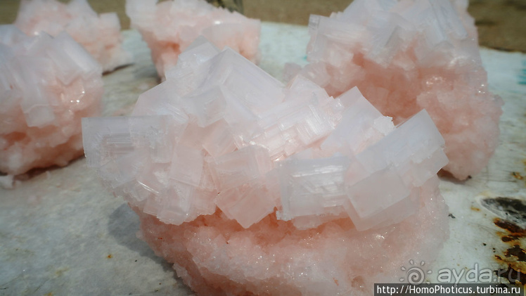 Намибийские пейзажи. Ч.4 Берег Скелетов