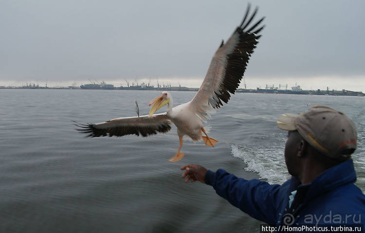 Намибийские пейзажи. Ч.4 Берег Скелетов