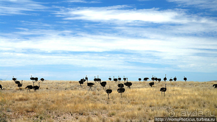 Намибийские пейзажи. Ч.4 Берег Скелетов