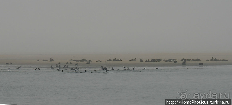 Намибийские пейзажи. Ч.4 Берег Скелетов