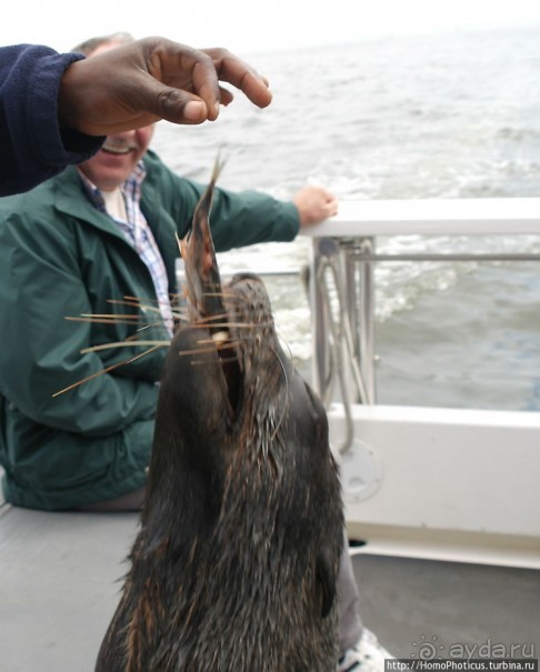 Намибийские пейзажи. Ч.4 Берег Скелетов