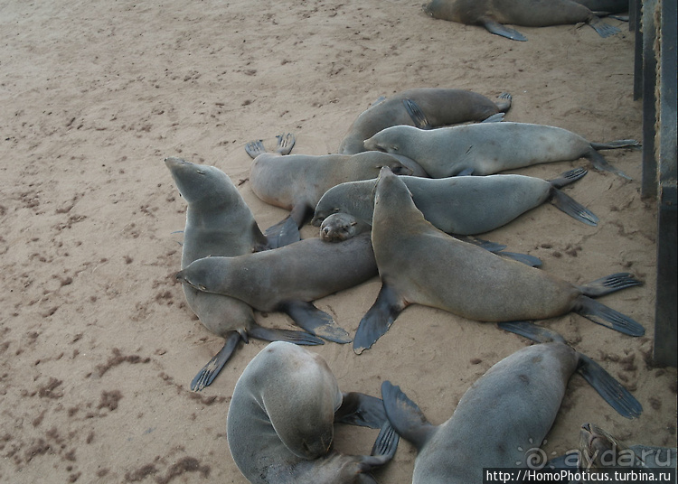 Намибийские пейзажи. Ч.4 Берег Скелетов