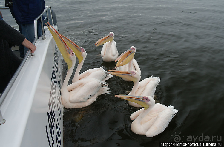 Намибийские пейзажи. Ч.4 Берег Скелетов