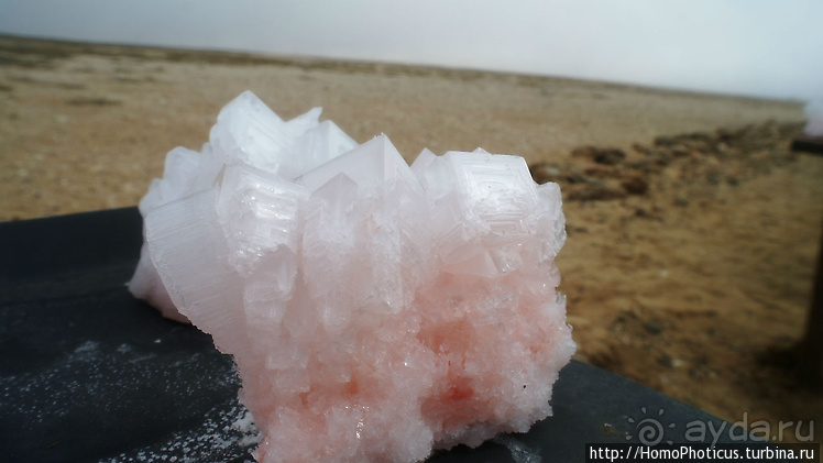 Намибийские пейзажи. Ч.4 Берег Скелетов