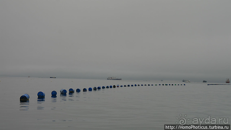 Намибийские пейзажи. Ч.4 Берег Скелетов