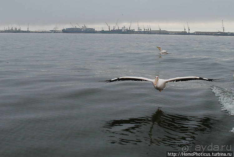 Намибийские пейзажи. Ч.4 Берег Скелетов
