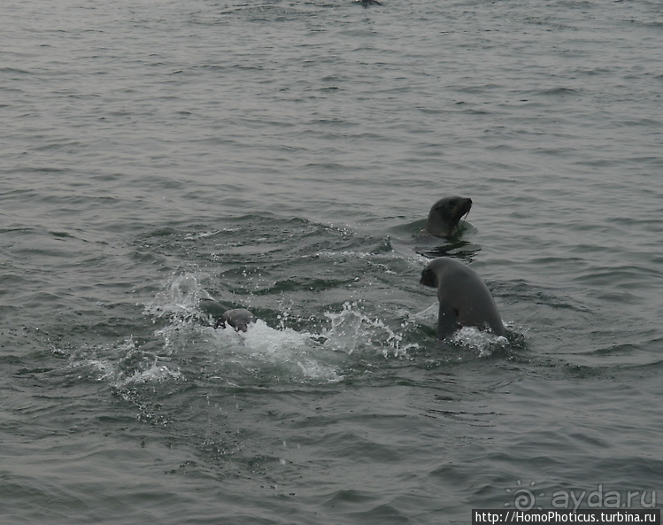 Намибийские пейзажи. Ч.4 Берег Скелетов