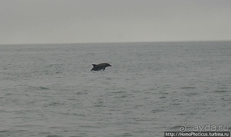 Намибийские пейзажи. Ч.4 Берег Скелетов