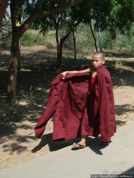 Монахи Мьянмы — больше, чем монахи