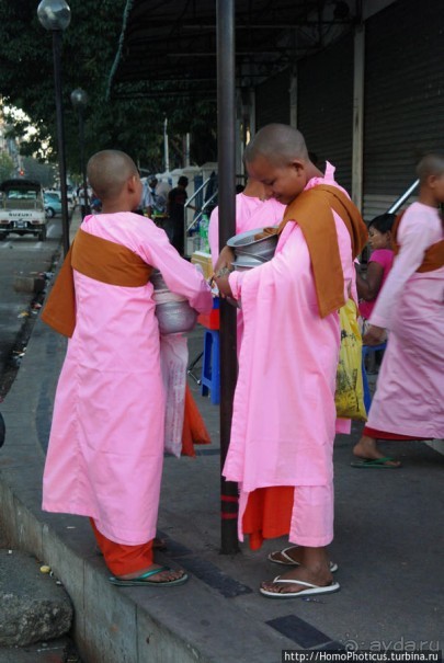 Монахи Мьянмы — больше, чем монахи