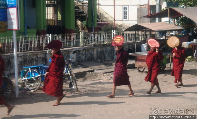 Монахи Мьянмы — больше, чем монахи